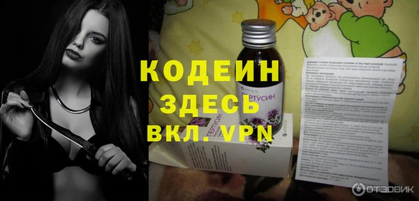 крисы Инсар