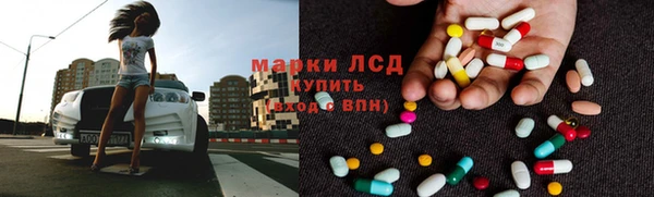 скорость Каменногорск