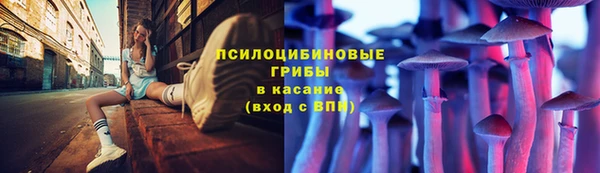 скорость Каменногорск