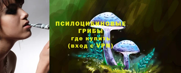 мдпв Каменка