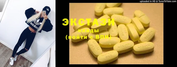 мдпв Каменка