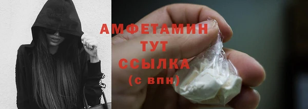 стафф Иннополис