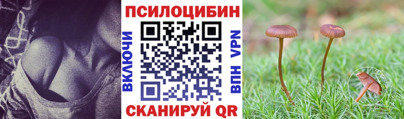 Псилоцибиновые грибы мицелий  Купить где  Ейск 